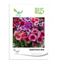 Iris Imported Dianthus Mix 150 Seeds